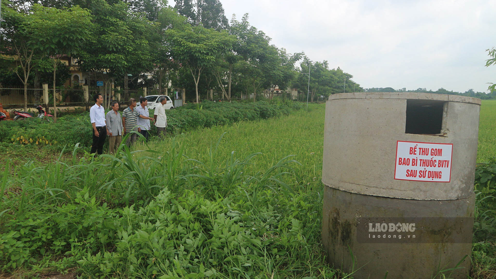 Mô hình thu gom vỏ, bao bì thuốc BTVT ở Thuận Hòa (Châu Thành, Sóc Trăng) được người dân tham gia tích cực. Ảnh: Phương Anh.