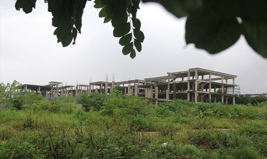 Hàng nghìn m2 đất vàng của quận Long Biên hiện đang bị bỏ hoang. Ảnh: Khánh An