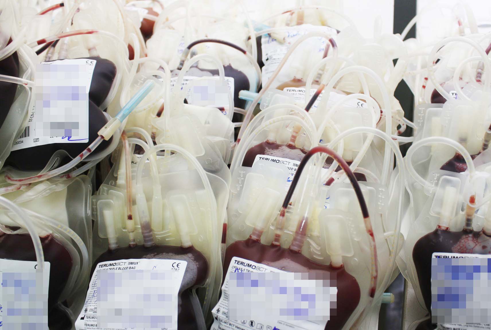 Lượng máu từ các tình nguyện viên. Ảnh: Bệnh viện Sản Nhi Quảng Ninh