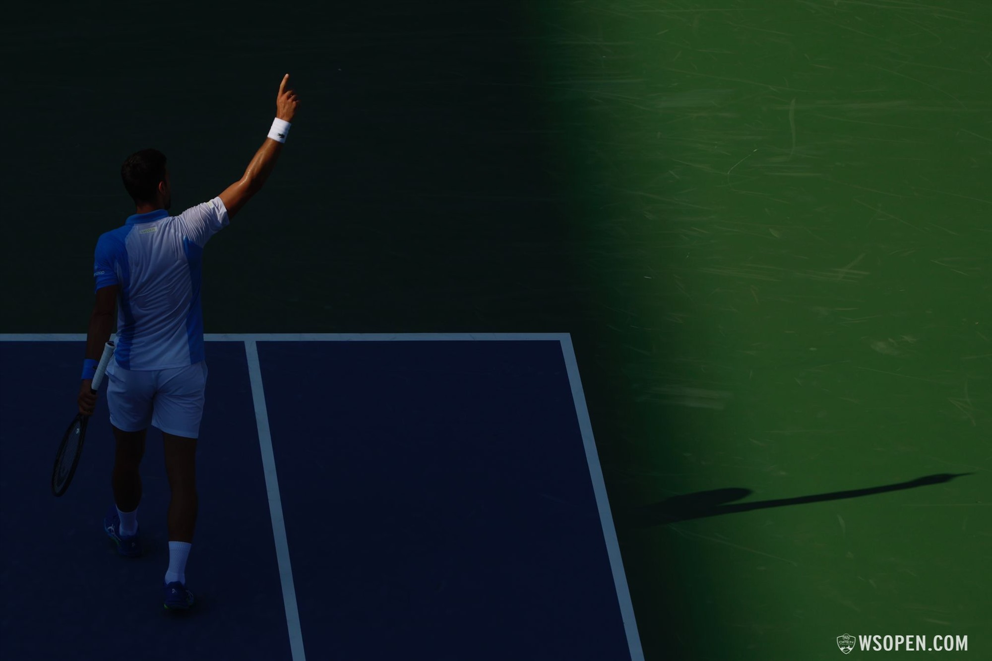 Cùng Novak Djokovic tạo ra những pha bóng tuyệt hay. Ảnh: Cincinnati Open