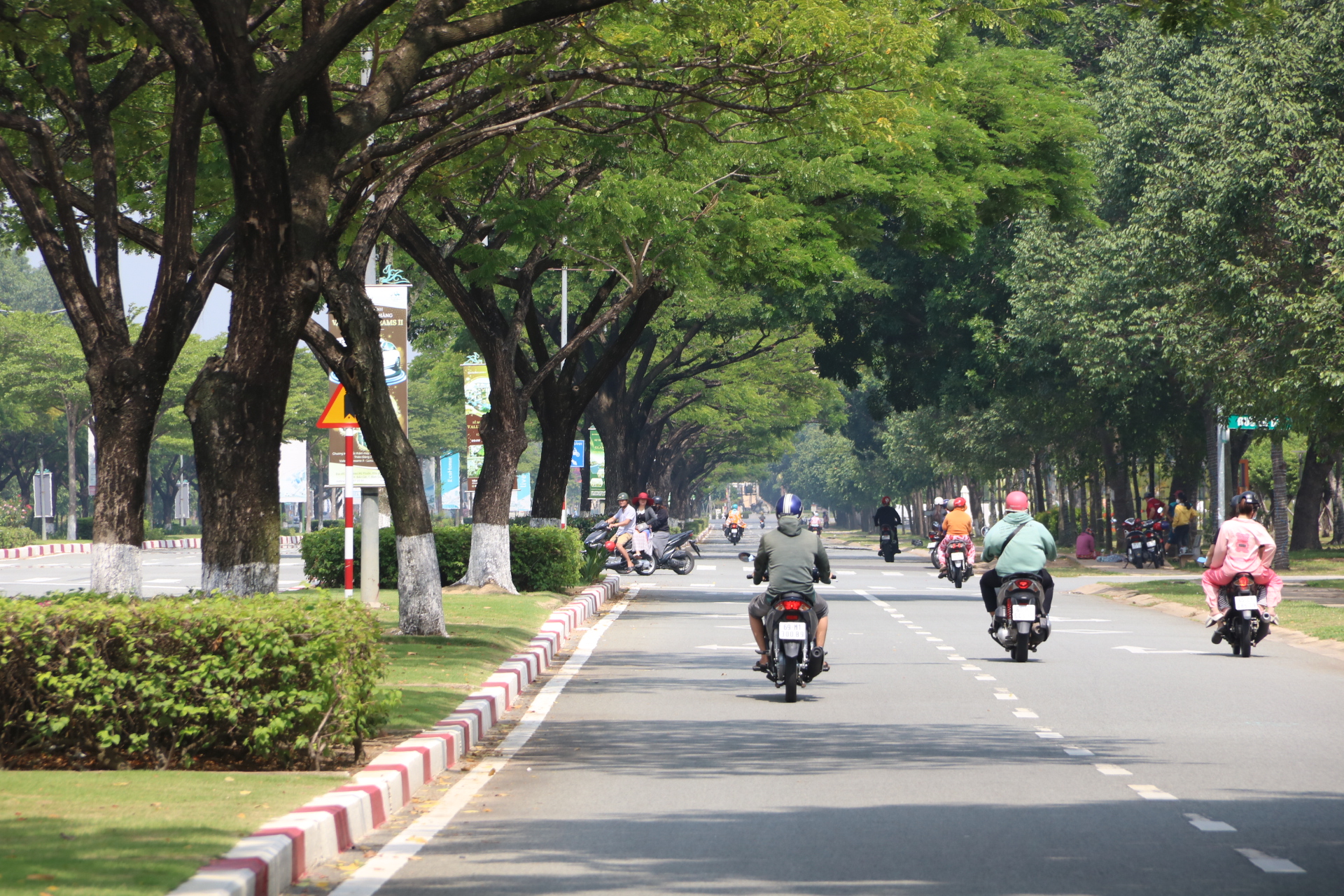 Tại thị xã Bến Cát, các con đường ở kết nối khu công nghiệp, khu đô thị cũng được phủ xanh. Hàng cây 10 năm tuổi tỏa bóng mát che kín con các đường.