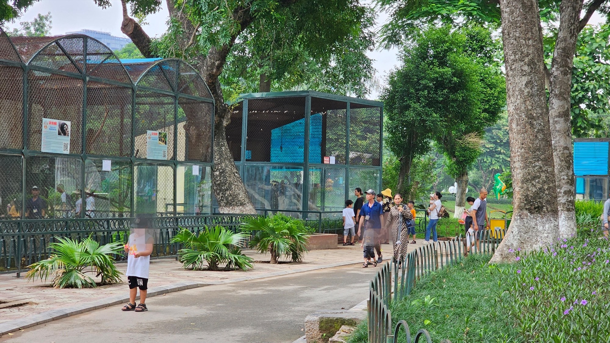 Ngày 21.8, mặc dù là ngày đầu tuần, tuy nhiên, Vườn thú Hà Nội vẫn có rất đông khách đến tham quan, vui chơi.