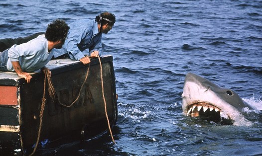 Loạt phim về cá mập gây chú ý. Ảnh: NSX