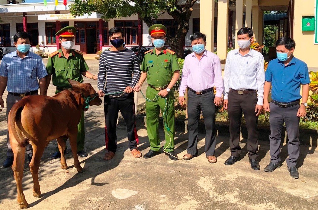  Công an huyện Nghĩa Hành hỗ trợ bò giống cho người chấp hành xong án phạt tù có hoàn cảnh khó khăn. Ảnh: Bá Sơn 