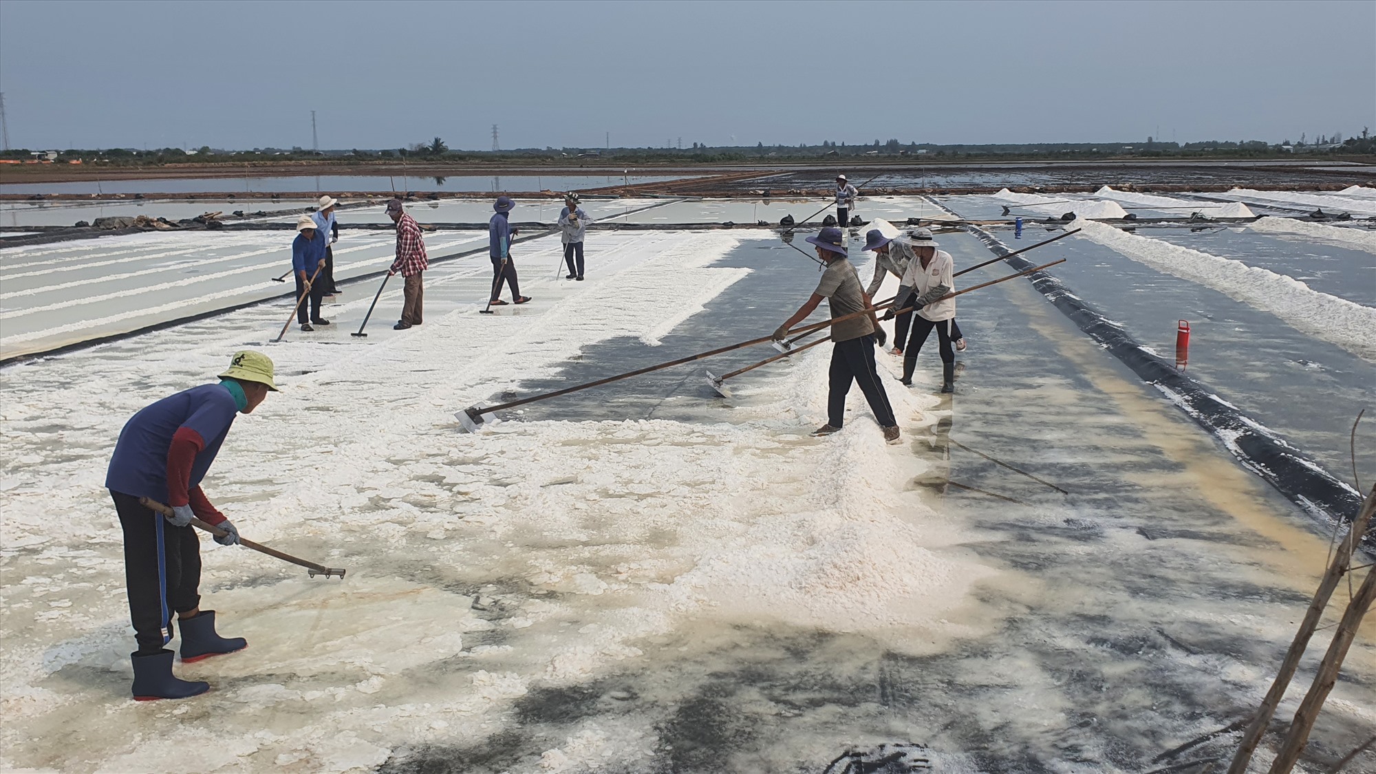 Bạc Liêu có gần 1.500 ha diện tích sản xuất muối. Ảnh: Nhật Hồ