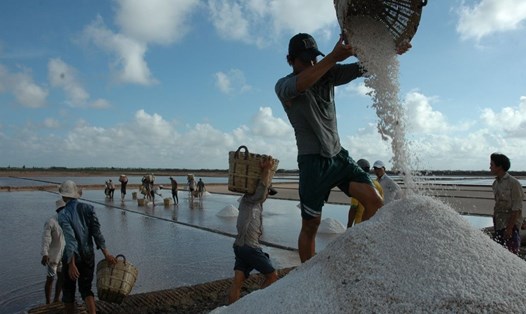 Nghề làm muối tại tỉnh Bạc Liêu luôn bấp bênh, sản  xuất phụ thuộc vào thời tiết, lợi nhuận so sánh với cây trồng, vật nuôi khác đều thấp hơn. Ảnh: Nhật Hồ