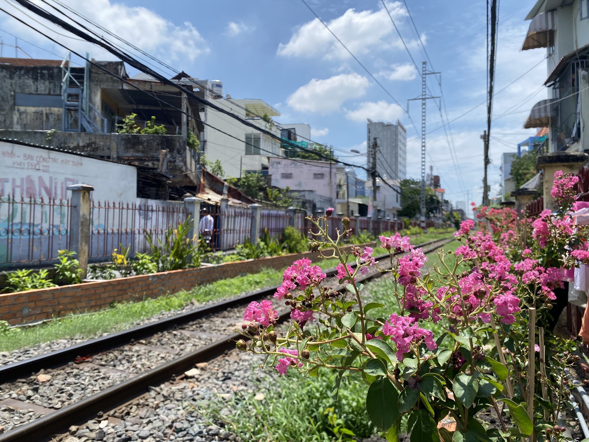 Hoa được trồng ở dọc 2 bên đường ray trên địa bàn quận Phú Nhuận. Ảnh: Ngọc Ánh