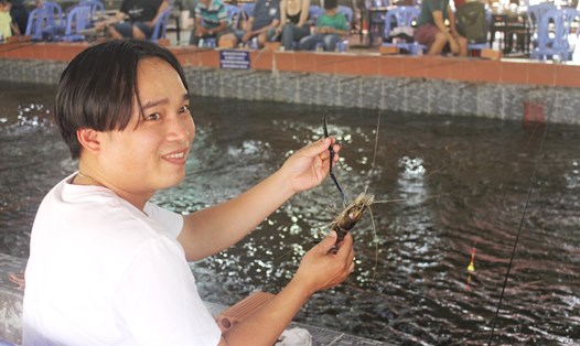 Thú vui câu tôm thu hút đông đảo khách trải nghiệm tại bán đảo Thanh Đa, TPHCM.