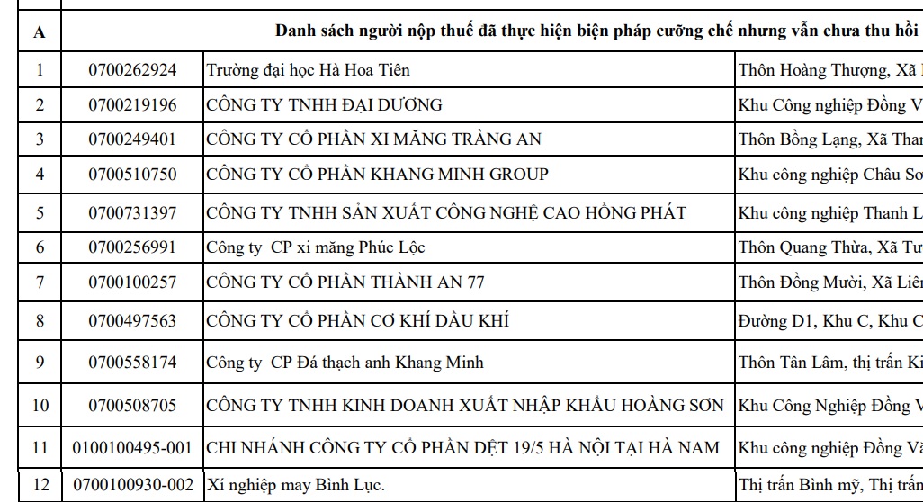Danh sách các đơn vị nộp thuế tại Hà Nam đã thực hiện biện pháp cưỡng chế nhưng vẫn chưa thu hồi được tiền thuế nợ. Ảnh: Chụp màn hình