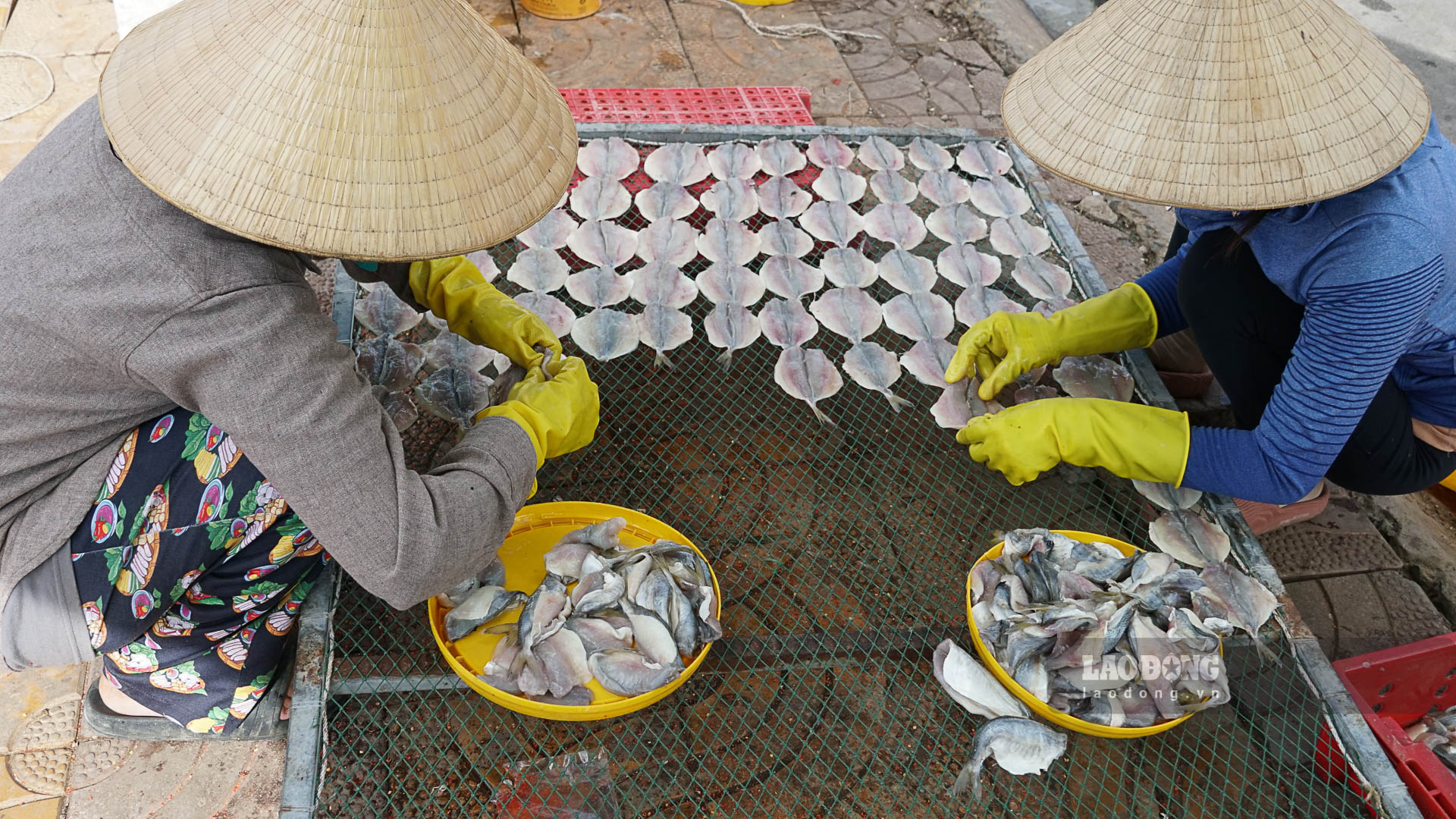 Nghề làm cá khô ở Trần Đề (Sóc Trăng) giúp nhiều lao động có thu nhập ổn định. Ảnh: Phương Anh.