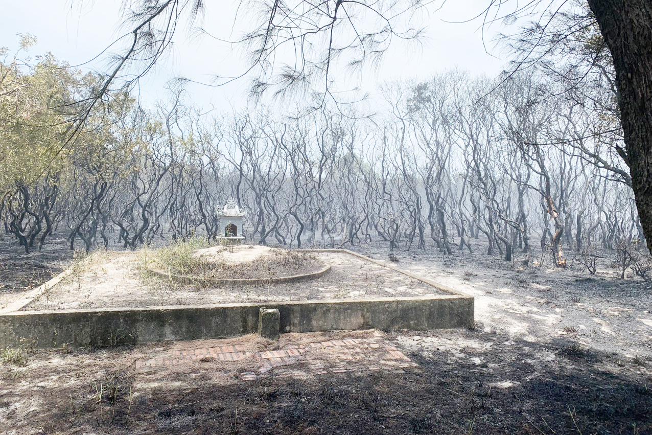 Khu vực rừng bị cháy gần nghĩa trang. Ảnh: Trần Tuấn.