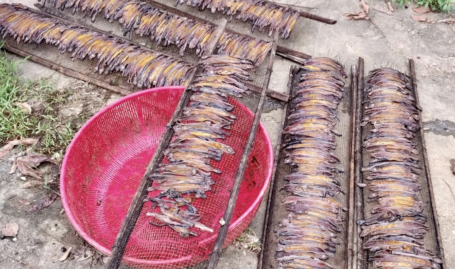 Một điểm sơ chế, sấy khô giun đất tại  thôn Hua Phai, xã Cao Kỳ (huyện Chợ Mới, Bắc Kạn) vừa bị phát hiện.