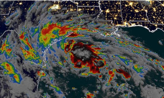 Bão nhiệt đới Harold dự kiến ​​đổ bộ và gây mưa trên khắp Nam Texas, Mỹ. Ảnh chụp màn hình