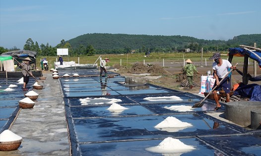 Diêm dân sản xuất muối trên cánh đồng muối thôn Tân Phong, xã Đỉnh Bàn huyện Thạch Hà, tỉnh Hà Tĩnh. Ảnh: Trần Tuấn