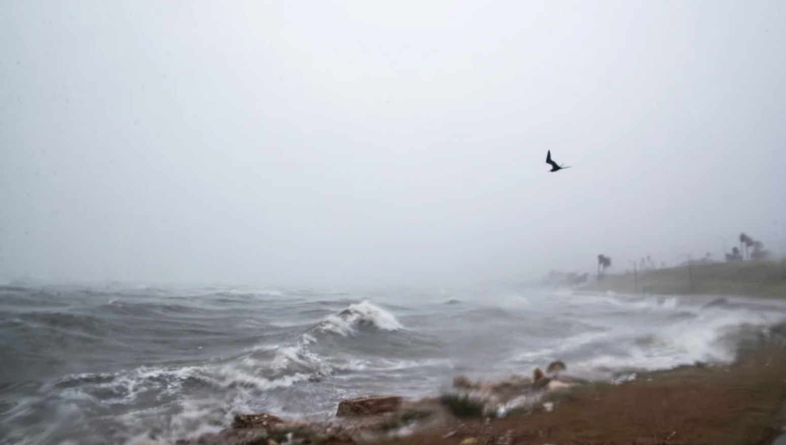Sóng lớn do ảnh hưởng của bão Harold ở vịnh Corpus Christi ngày 22.8.2023. Ảnh: USA Today