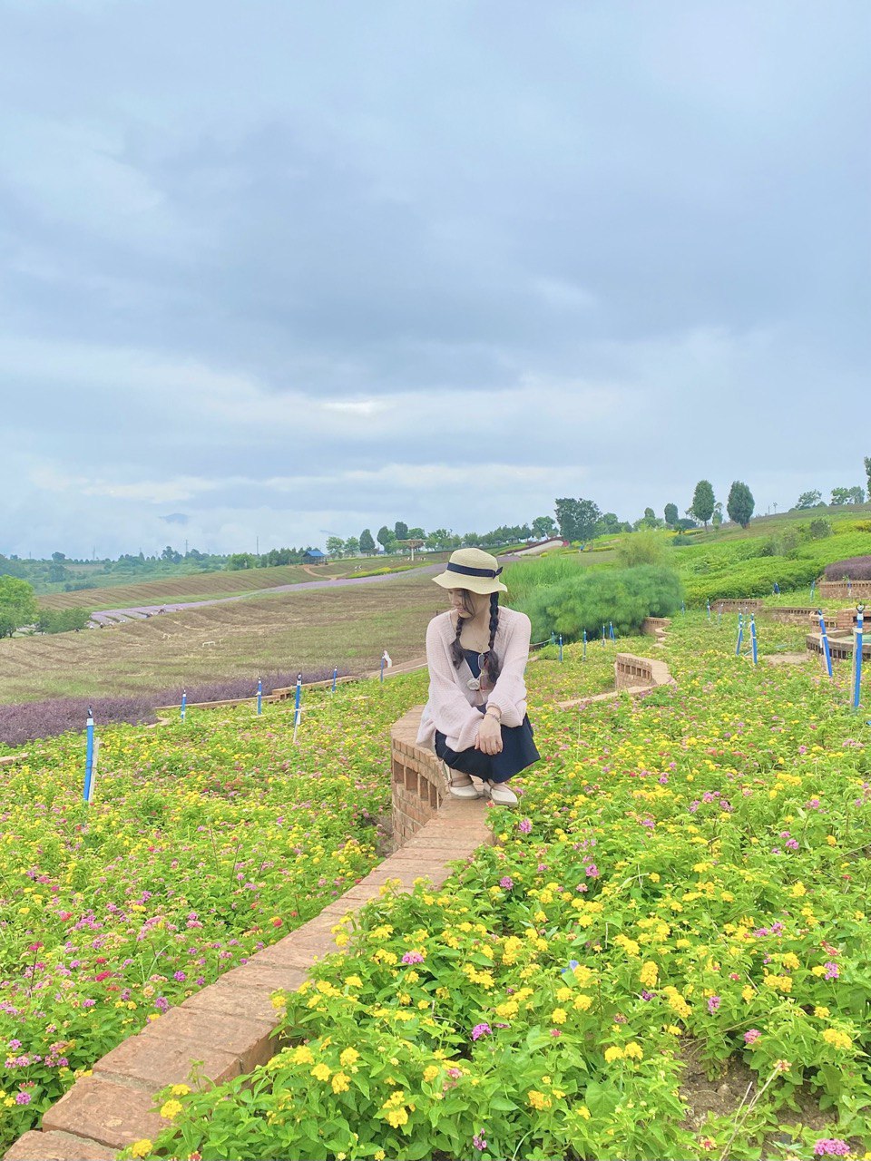 Những cánh đồng hoa rực rỡ sắc màu trở thành phông nền chụp ảnh lý tưởng.