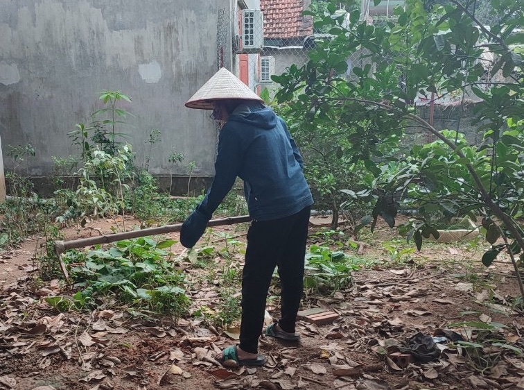 Chị Nguyễn Thị Minh Lý cải tạo vườn để trồng rau sau khi về quê. Ảnh: NVCC