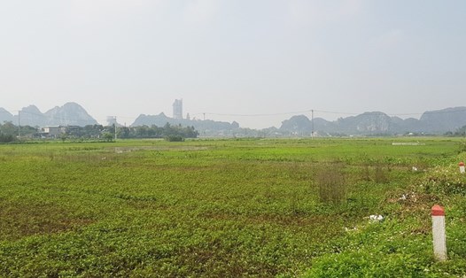 Khu đất rộng trên 75.200 m2 được giao làm Dự án khu dân cư Cầu Chẹm (tại xã Gia Thanh, huyện Gia Viễn, Ninh Bình) nhưng không thông qua đấu giá đất. Ảnh: Diệu Anh