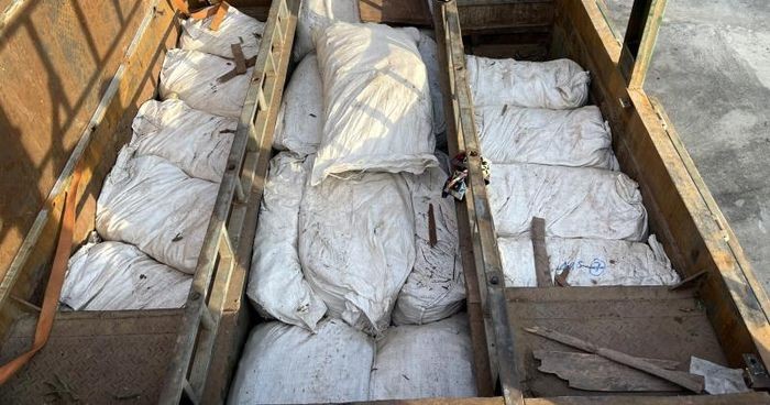 Số gỗ trắc và vảy tê tê được ngụy trang trong hầm, dưới thùng xe rơmoóc.  Ảnh: Quỳnh Trang