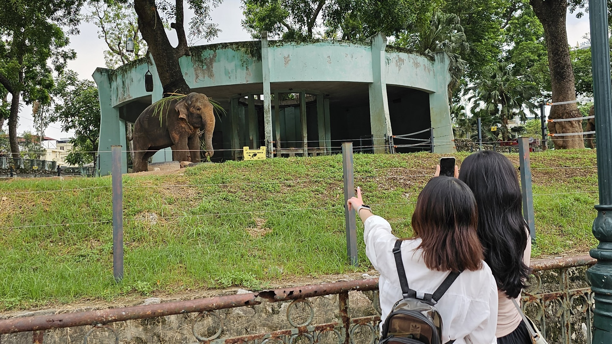 Du khách đến xem voi ở Vườn thú Hà Nội. Ảnh: Phúc Đạt.