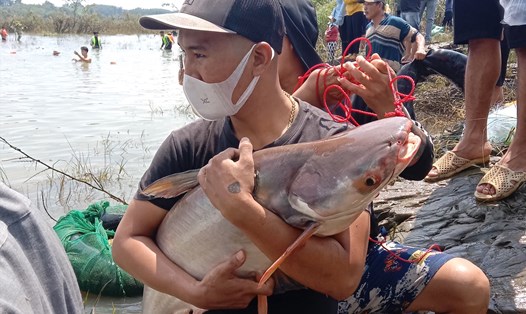   Người dân bắt được cá khủng dưới chân đập thuỷ điện Trị An. Ảnh: Hà Anh Chiến
