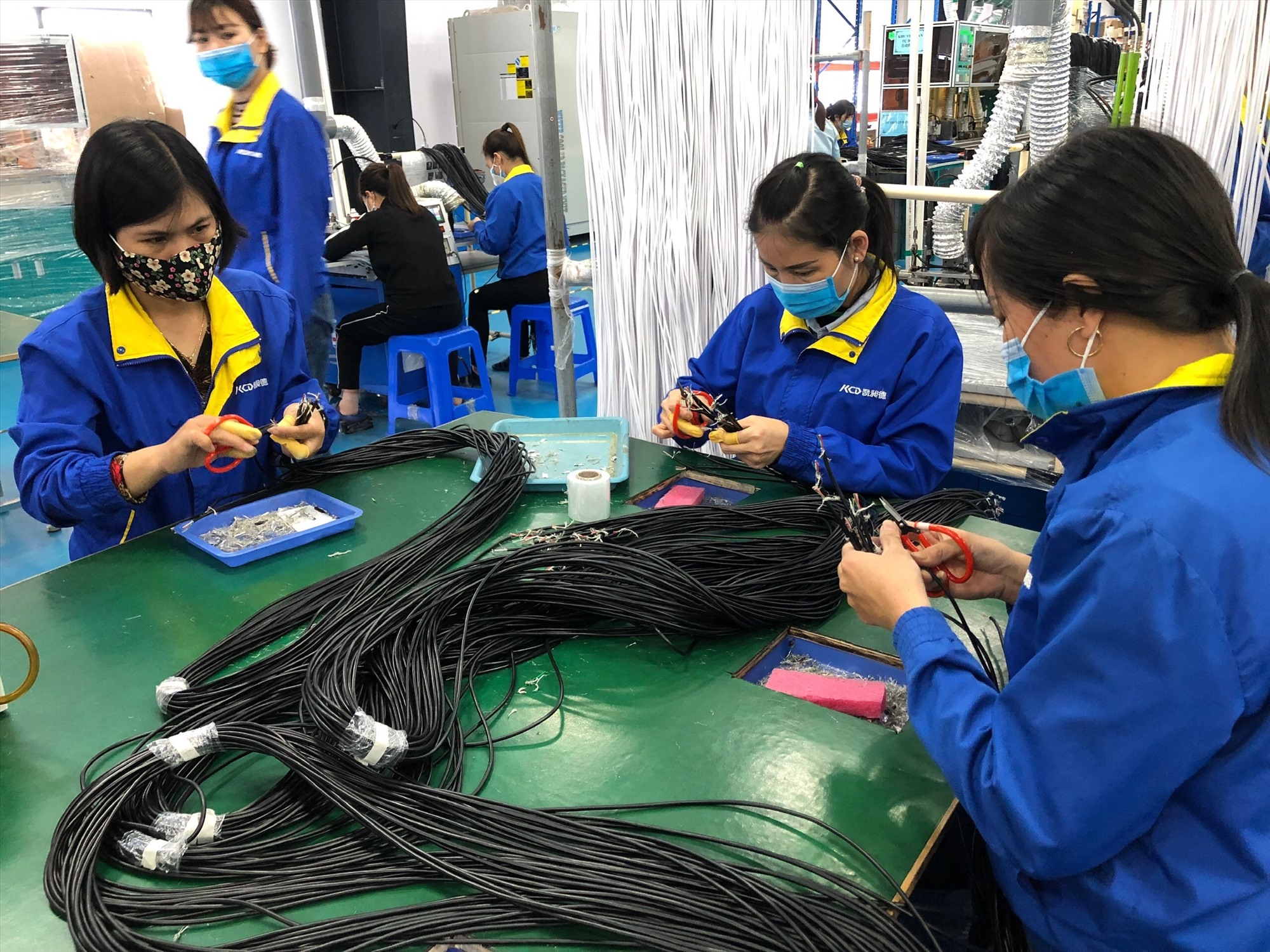 Ảnh minh họa: Nguyễn Huyền 