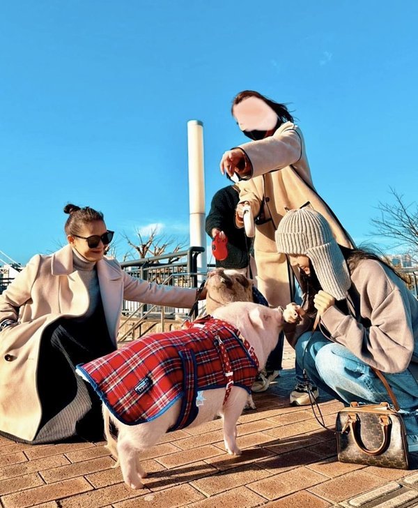 Phong cách thời trang đời thường cực chất của Lisa. Ảnh: