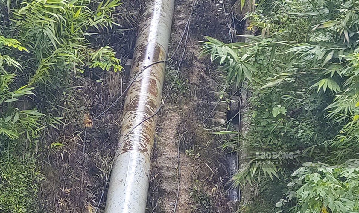 Điện Biên yêu cầu làm rõ nguyên nhân vụ ngộ độc nghi do thuốc diệt cỏ