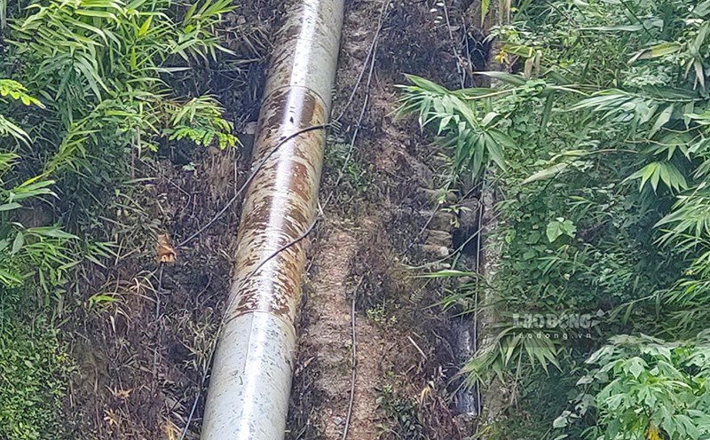 Điện Biên yêu cầu làm rõ nguyên nhân vụ ngộ độc nghi do thuốc diệt cỏ