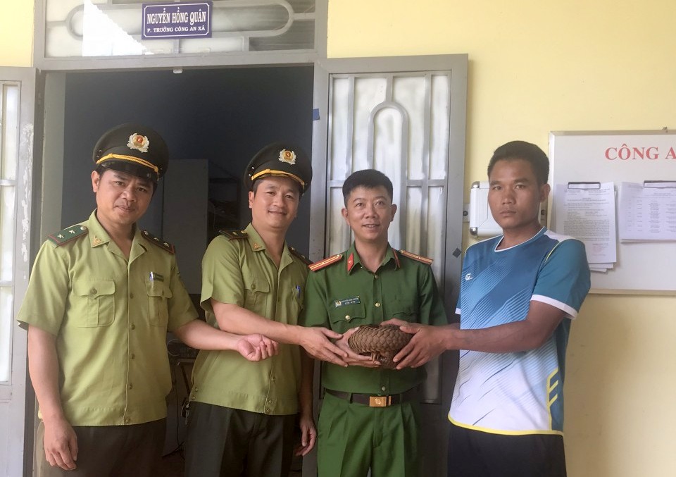Ông Y Hông bàn giao cá thế tê tê cho lực lượng chức năng tiếp nhận, chăm sóc. Ảnh: Hạt Kiểm Lâm cung cấp