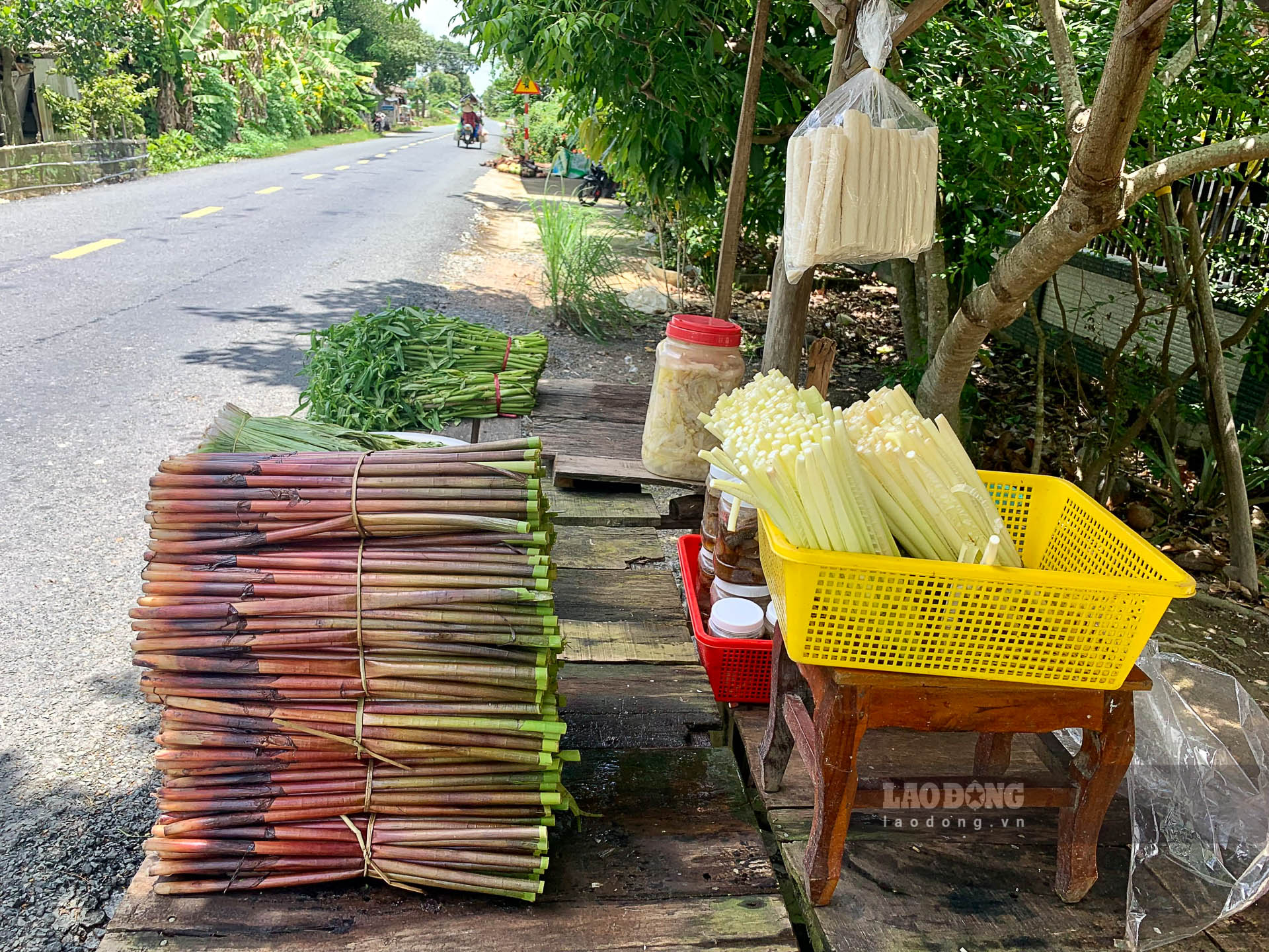 Ngoài bán cho thương lái, một số hộ còn tách bỏ vỏ già chừa phần non để bán cho khách qua đường với giá 10.000 đồng/bó. Ảnh: Phương Anh