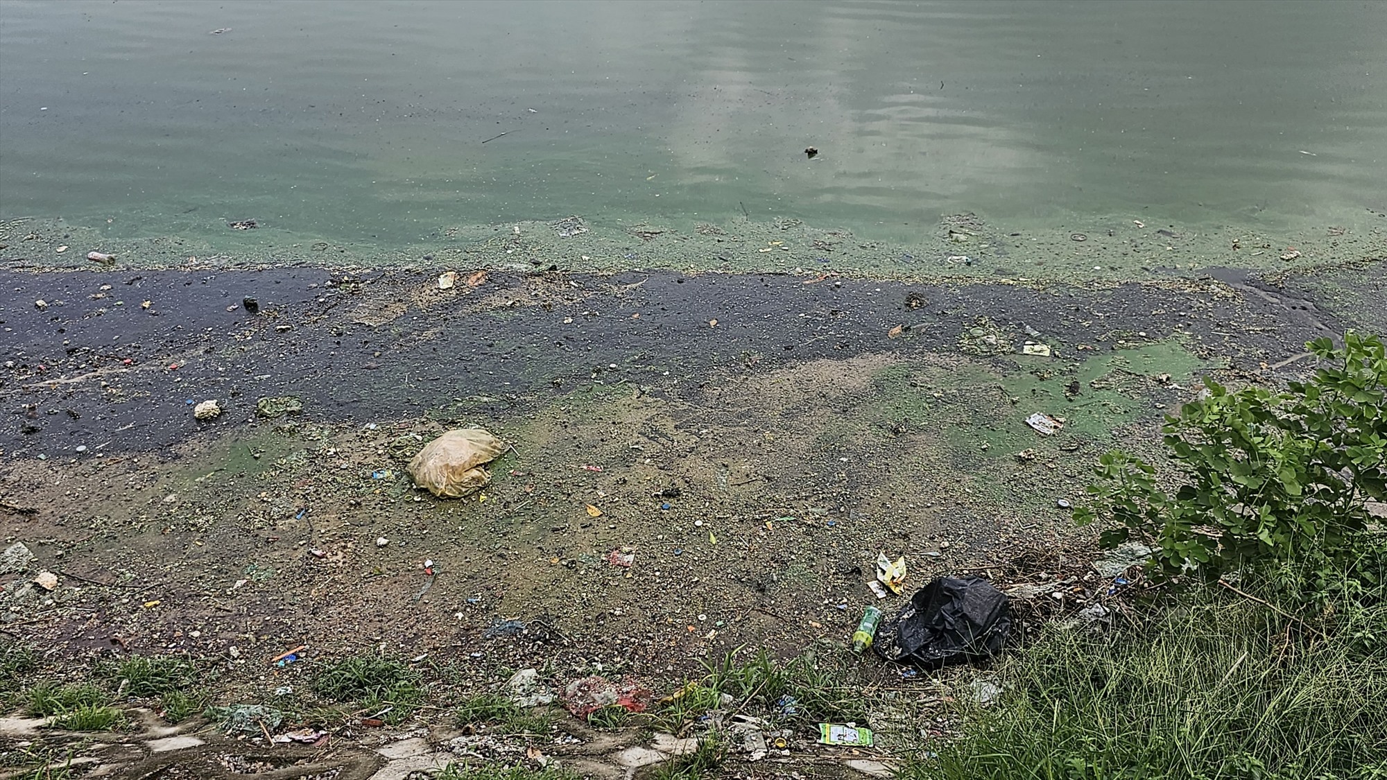 Ghi nhận của Lao Động trong ngày 28.6, rác thải vứt bừa bãi ở nhiều khu vực của hồ Linh Quang, nước hồ bốc mùi hôi thối.