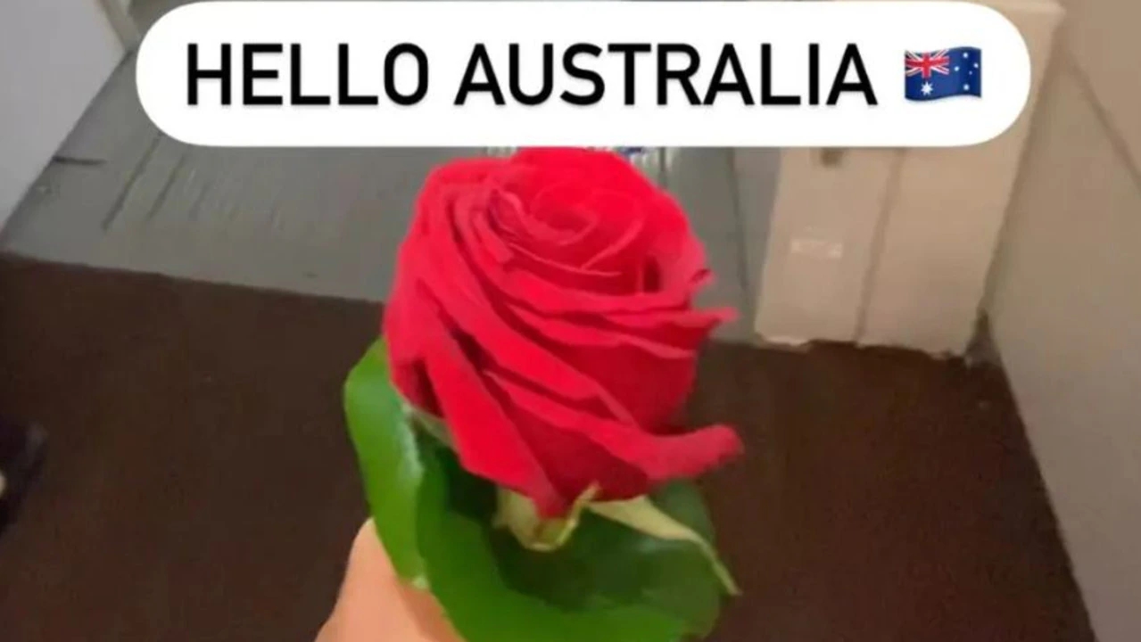 Bông hồng khiến Lays bị phạt gần 2.000 USD tại Australia. Ảnh: Instagram nhân vật
