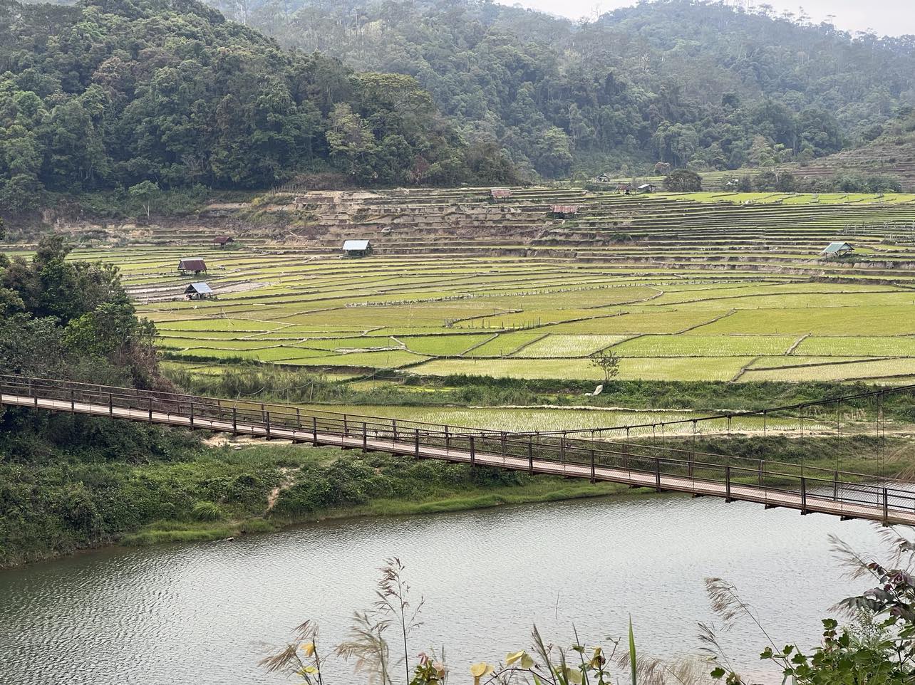 Cầu treo bắc ngang dòng sông chảy giữa những thửa ruộng bậc thang Kon Tu Rằng. Ảnh: Trung Nghĩa

