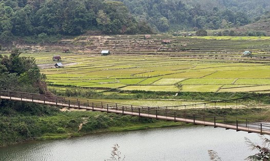 Cầu treo bắc ngang dòng sông chảy giữa những thửa ruộng bậc thang Kon Tu Rằng. Ảnh: Trung Nghĩa
