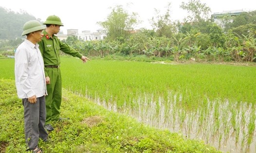 Công an tỉnh Hà Nam khuyến cáo người dân không dùng điện bẫy chuột tại ruộng lúa. Ảnh: Công an tỉnh Hà Nam