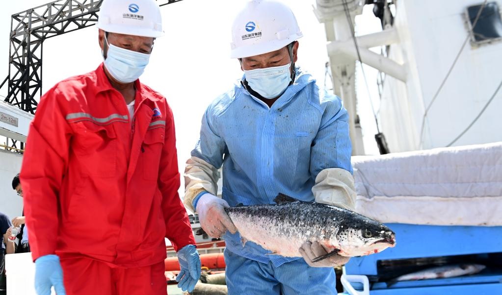 Trung Quốc cấm nhập khẩu hải sản từ 10/47 tỉnh thành Nhật Bản. Ảnh: Xinhua