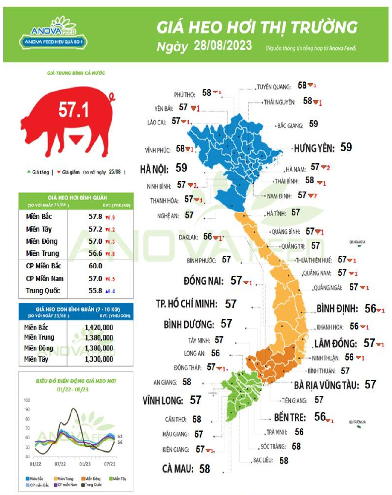 Giá lợn hơi trên cả nước ngày 28.8.2023. Nguồn: Anova Feed