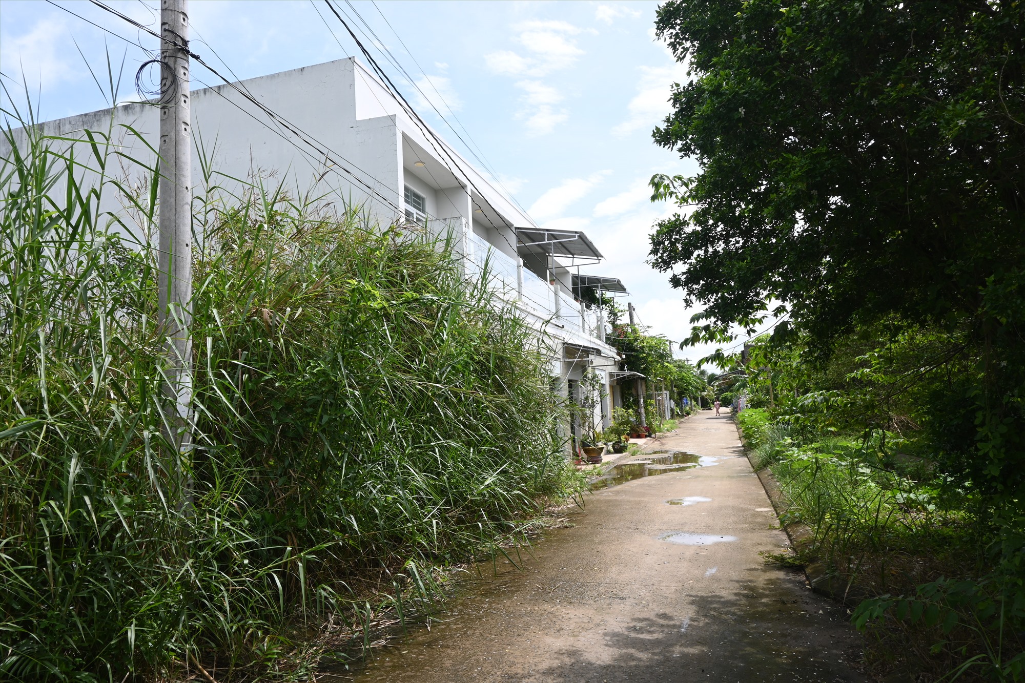 Người dân đã cất nhà để ở trong khu dân cư tự phát Hưng Phát (trên địa bàn xã Phú An Hòa, huyện Châu Thành, tỉnh Bến Tre). Ảnh: Thành Nhân