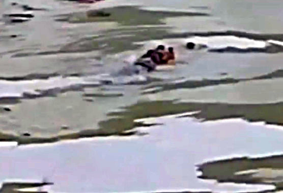 Cá sấu nổi trên sông, đoạn qua thị trấn Phước Long, huyện Phước Long, tỉnh Bạc Liêu được người dân ghi lại. Ảnh: Cắt từ clip