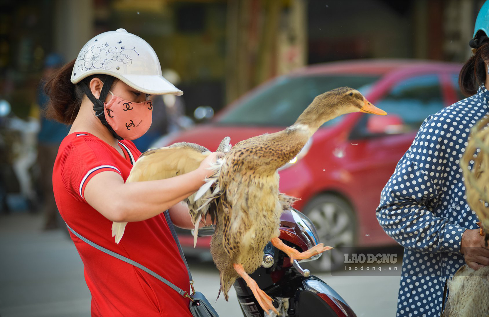 Về văn hóa tín ngưỡng của người Nùng, Tày, trong sách Tín ngưỡng và lễ hội cổ truyền Việt Nam (Nhà xuất bản Tri thức ấn hành, năm 2018), GS Ngô Đức Thịnh viết: Một số nơi, cùng với dịp 14.7, còn có tục “pây tái”, tức về ăn tết bên ngoại.