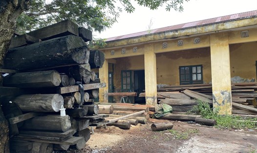 Dãy trường mầm non ở xã Kiền Bái (huyện Thuỷ Nguyên) bỏ hoang gần chục năm, nay thành nơi tập kết, chế biến gỗ. Ảnh: Hoàng Khôi