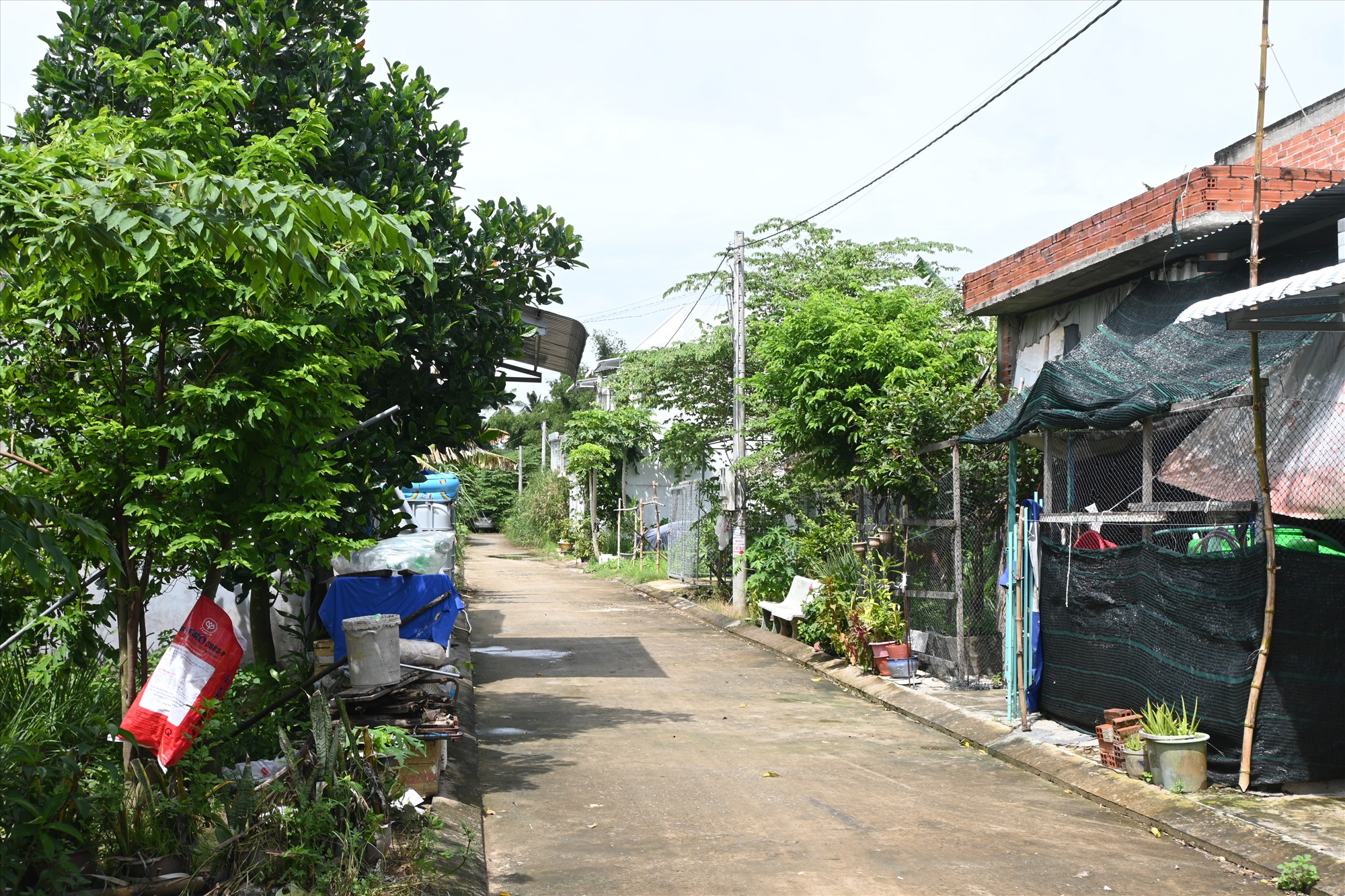 Khu dân cư tự phát Hưng Phát (trên địa bàn xã Phú An Hòa, huyện Châu Thành, tỉnh Bến Tre). Ảnh: Thành Nhân