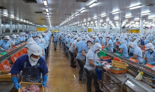 Một số công nhân lao động làm việc tại các công ty trên địa bàn TP Cần Thơ lo lắng khi bị giảm giờ làm. Ảnh: Phong Linh