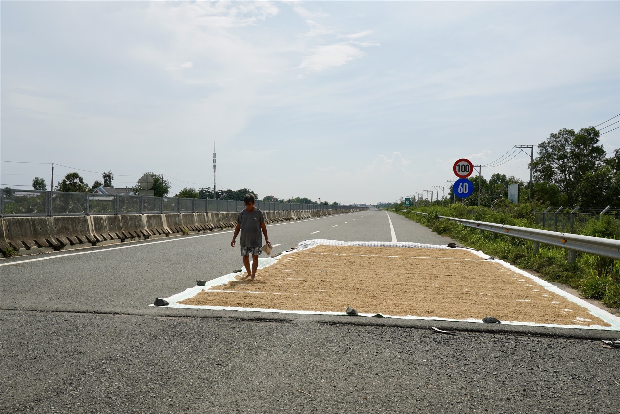 Đoạn qua xã Hưng Long đã được trải nhựa mặt đường. Người dân tận dụng làn đường cao tốc để phơi lúa.