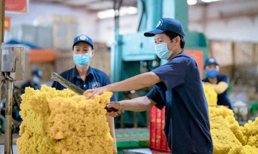Một số giải pháp đã được đề ra tại Đại hội Công đoàn Caosu Việt Nam lần IX, nhiệm kỳ 2023-2028 tổ chức ngày 31.8 để đảm bảo tiền lương và thu nhập cho người lao động ngành caosu. Ảnh: Nam Dương