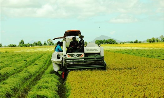 Năm 2023, ngoài phục vụ nhu cầu nội địa, Việt Nam vẫn còn dư để xuất khẩu từ 7-7,5 triệu tấn gạo. Ảnh: Tân Long