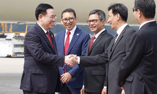 Các quan chức Việt Nam và Indonesia đón Chủ tịch Quốc hội Vương Đình Huệ tại sân bay quốc tế Soekarno Hatta, Thủ đô Jakarta. Ảnh: TTXVN