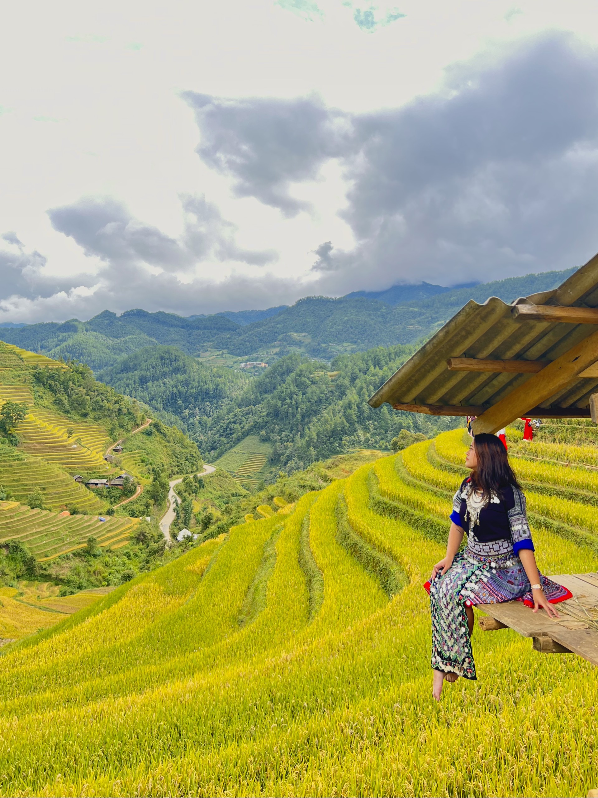 Mù Cang Chải mùa lúa chín.