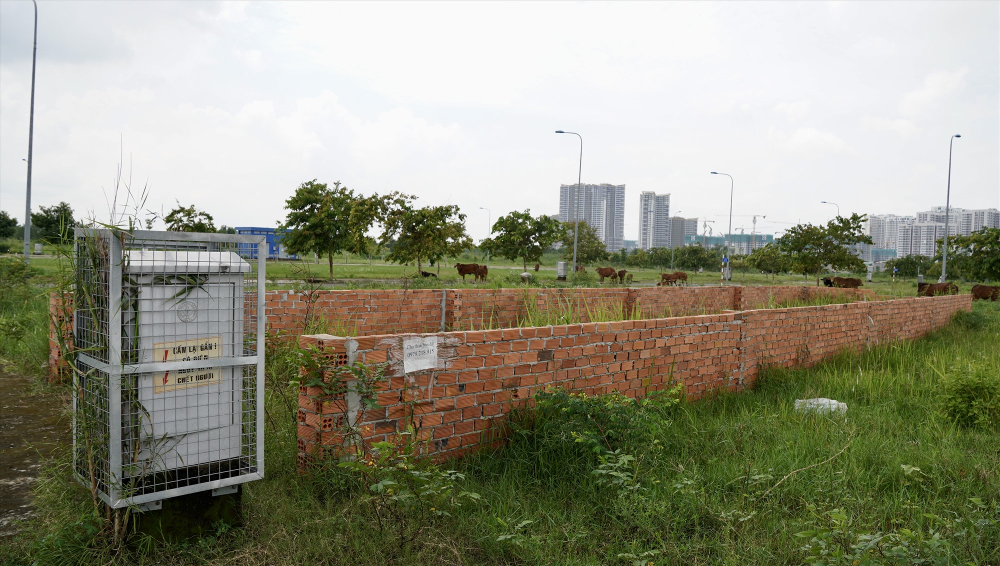Một vị trí mặt bằng được rào lưới để phân chia ranh giới đất tại khu tái định cư Long Bình.